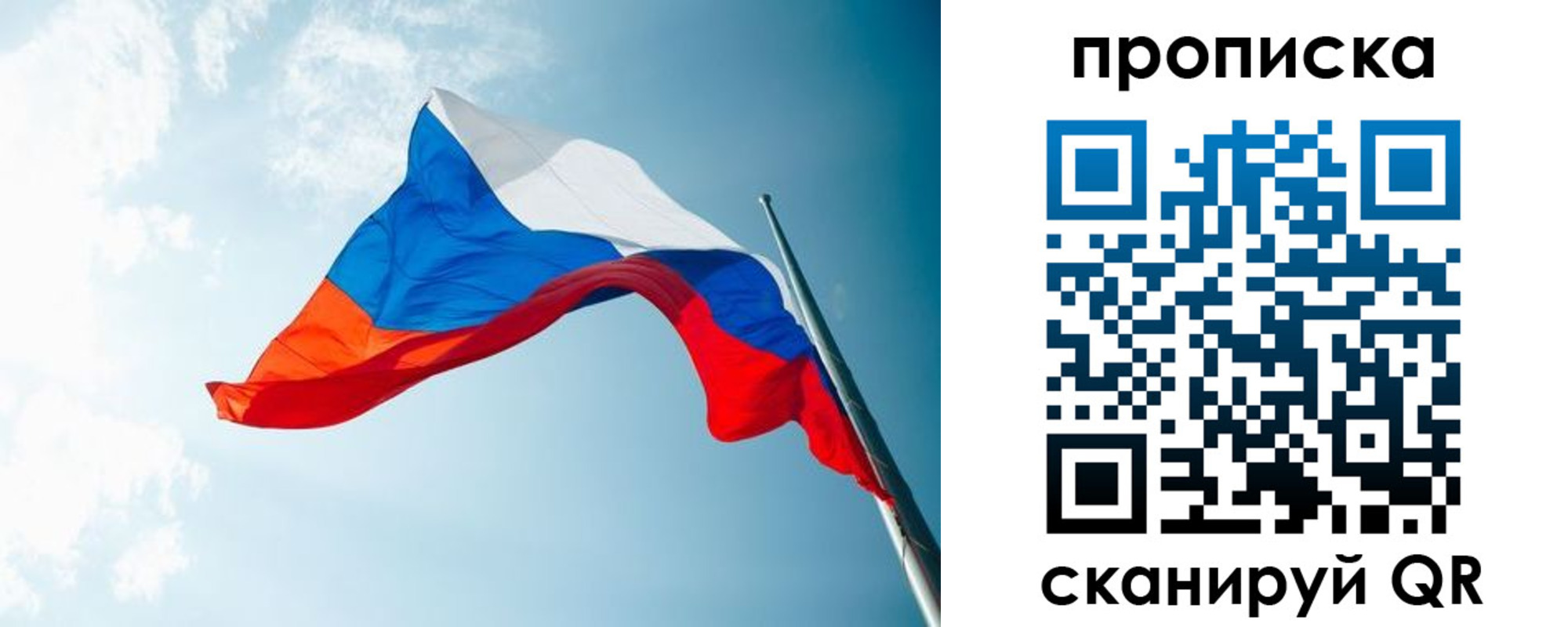 найти адрес прописки в Полярных Зорях